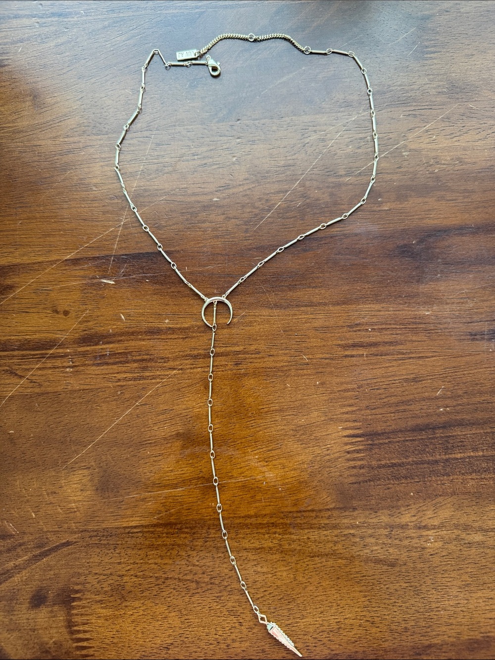 Luv AJ Gold Dainty Y-Drop Necklace with Spike Charm